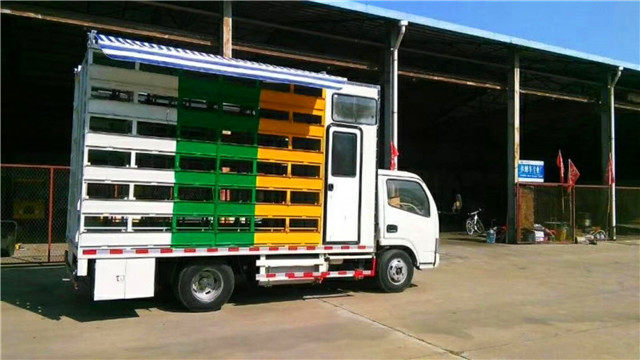 帶生活區(qū)藍(lán)牌養(yǎng)蜂車，兩邊固定意蜂箱40箱